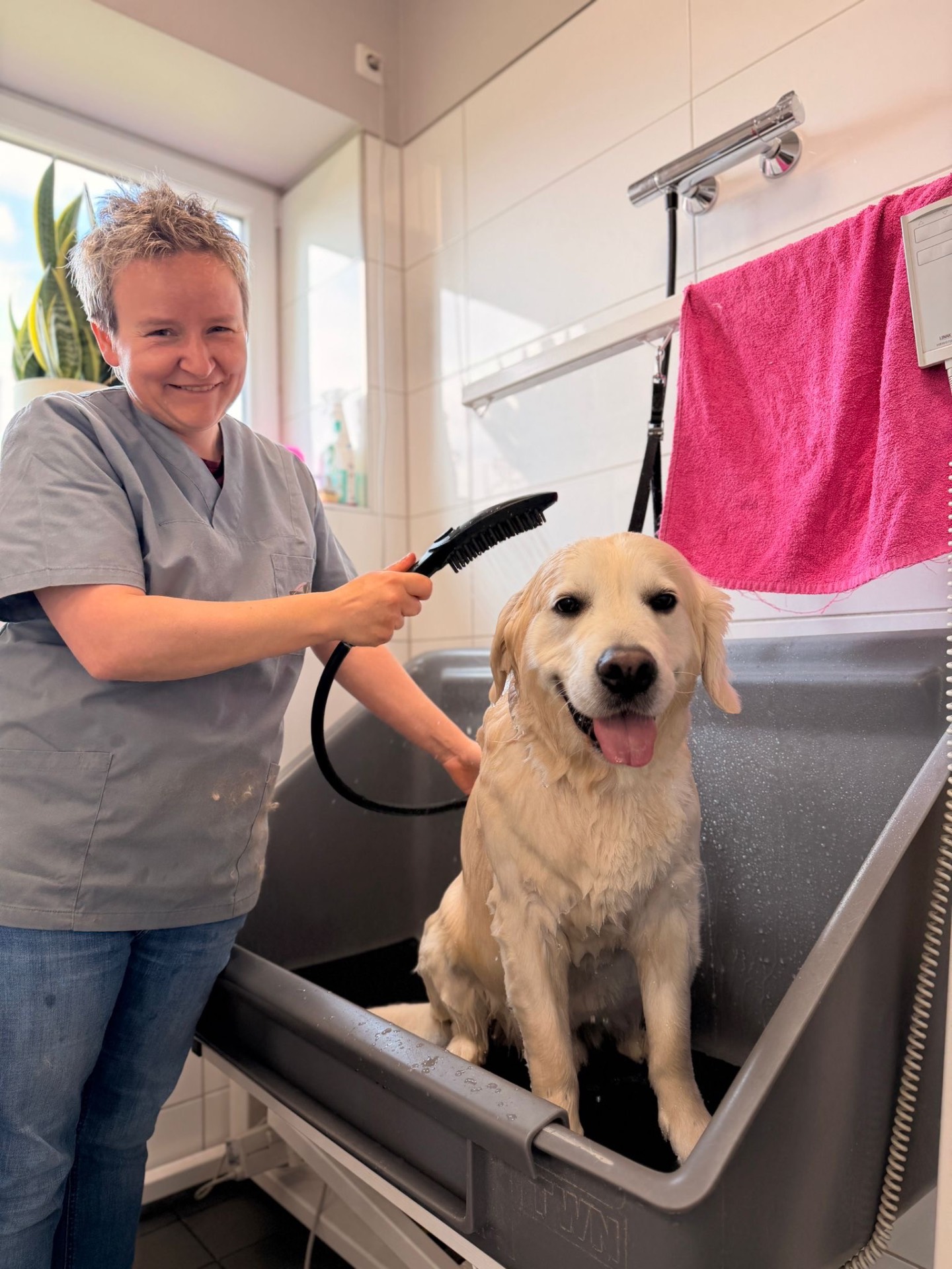 Groomerin badet einen Golden Retriever in der Hundebadewanne