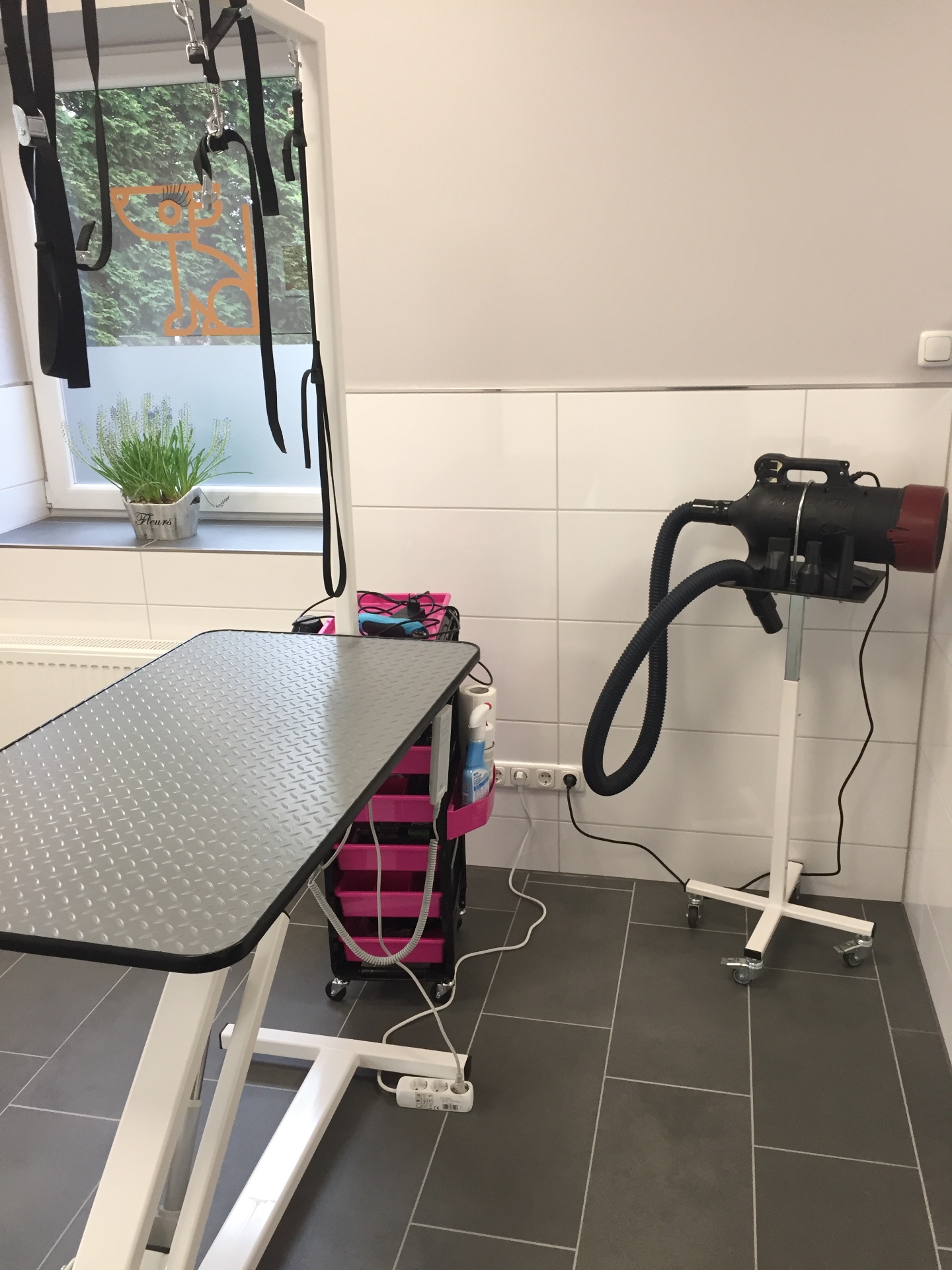 Trimmtisch mit Föhnstation